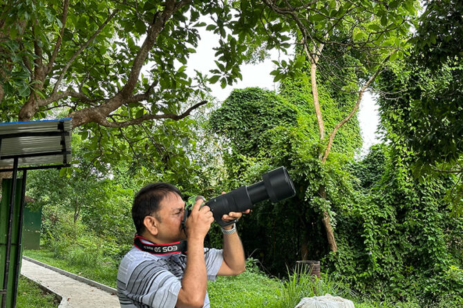 My Travails with Bird Photography